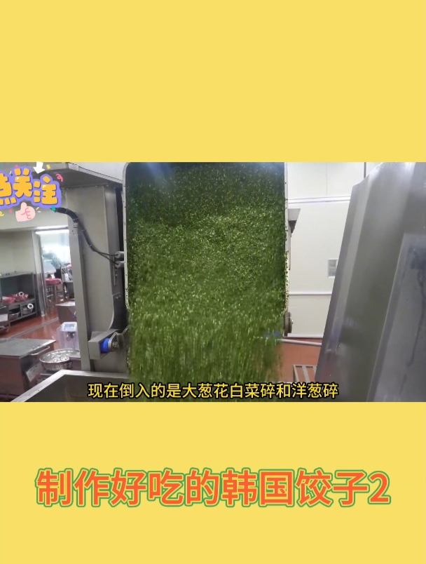 制作好吃的韩国饺子2