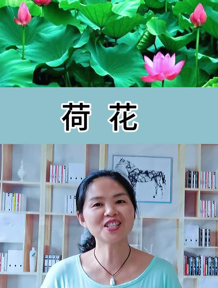 写作素材荷花每天一分钟,积累好词好句,小号张老师教写作