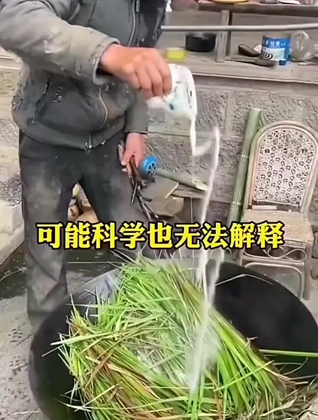 这本食疗食谱,一日三餐都是养生的好机会,这些方子美味又实用