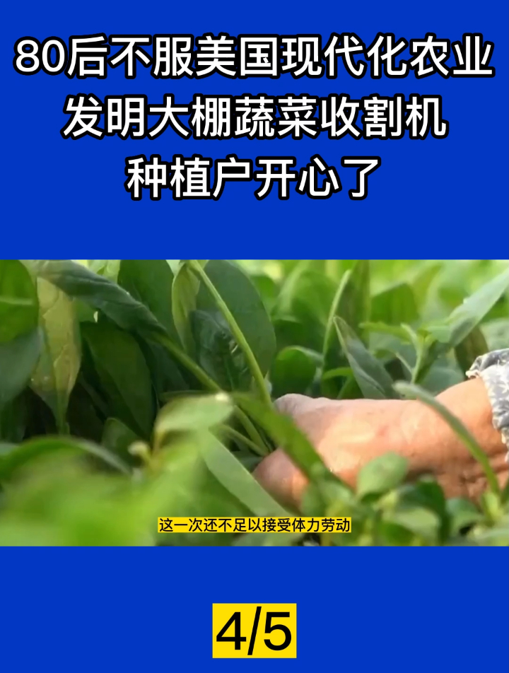 80后不服美国现代化农业,发明大棚蔬菜收割机,种植户开心了!4