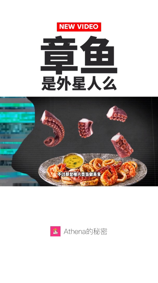 有3个心脏,9个大脑,章鱼难道真的是“外星人”?