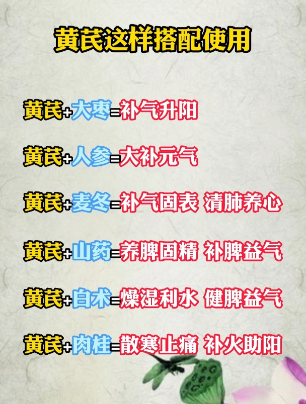黄芪与各种药材搭配的使用了解一下