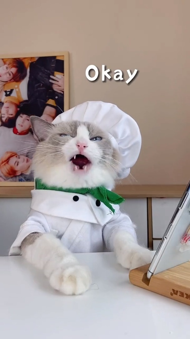 鸡蛋造型的小技巧……