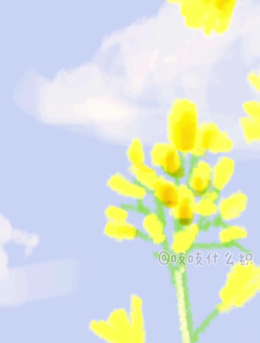 春天是油菜花的季节呀,备忘录手绘