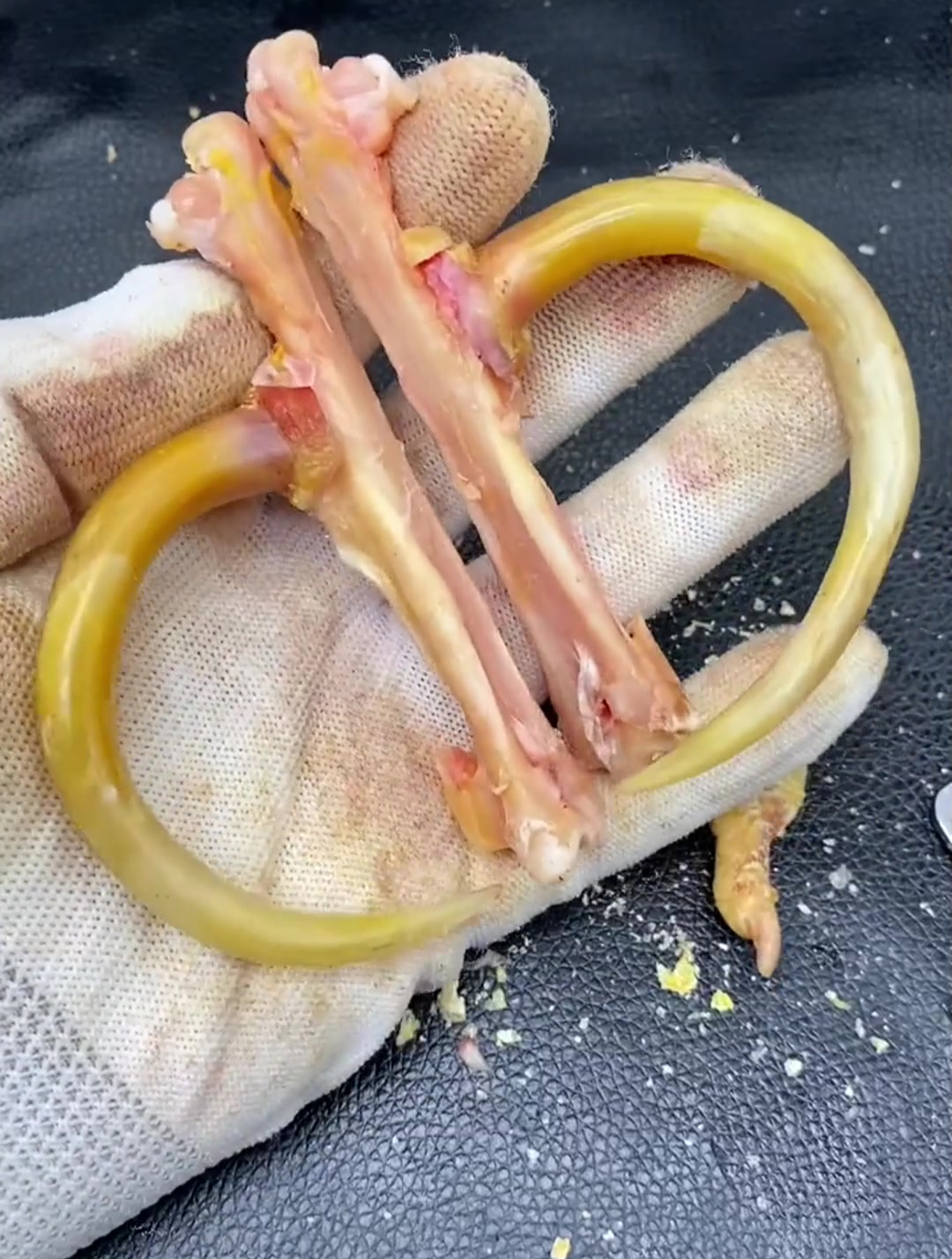 文玩鸡爪骨 文玩鸡蹬子 漂亮吧哈哈