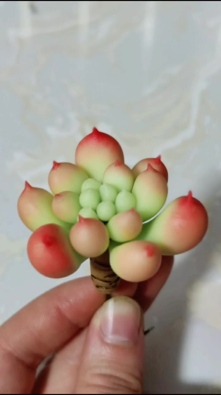 粘土手工,多肉植物分享