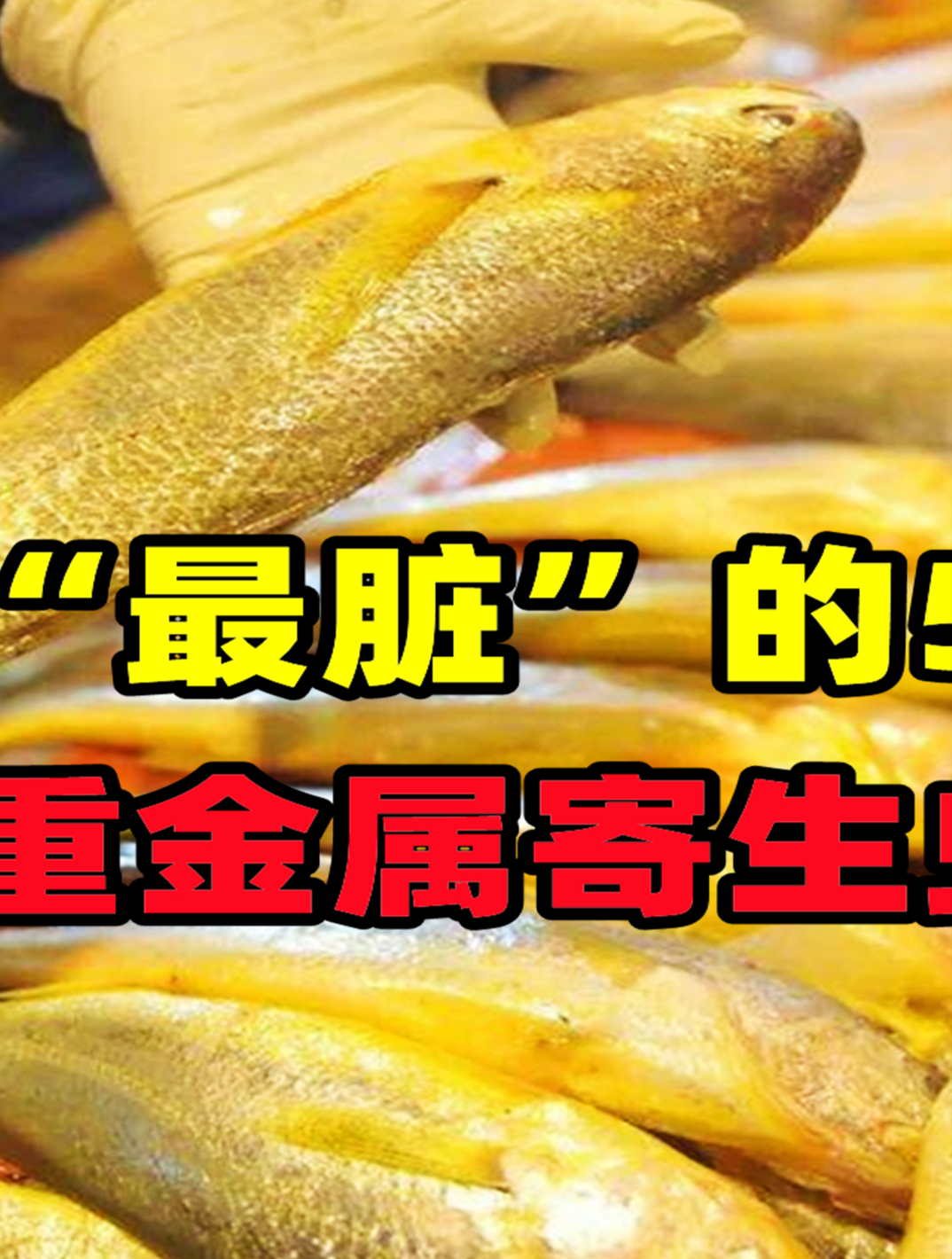 菜市场里“最脏”的5种鱼,含有重金属寄生虫,尽量要少吃(2)