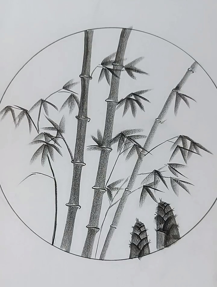 教你用一根铅笔画竹子,你学会了吗?