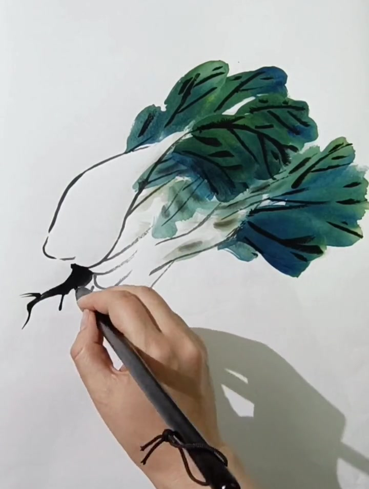 一分钟教你画绿油油的大白菜