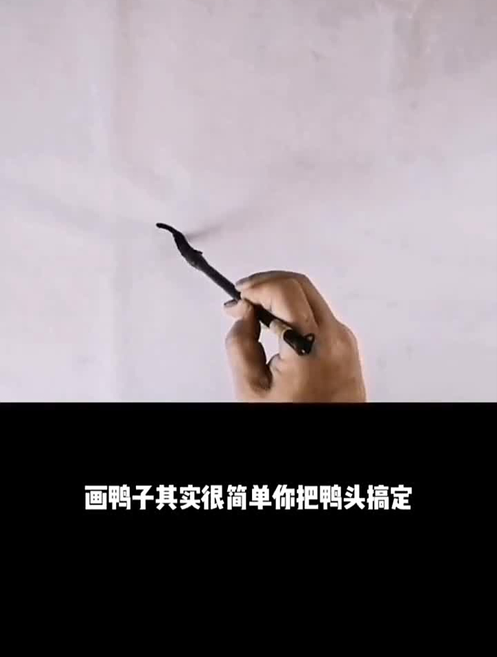 国风合伙人写意鸭子国画鸭子水墨鸭子写意