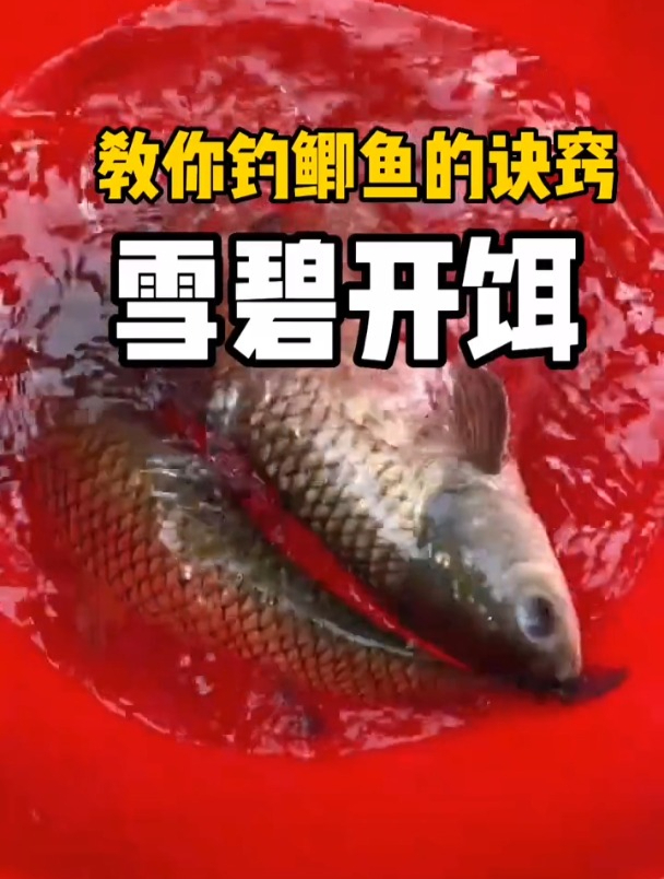 开饵加雪碧据说钓鲫鱼效果很好?下水实测后,效果不过如此!