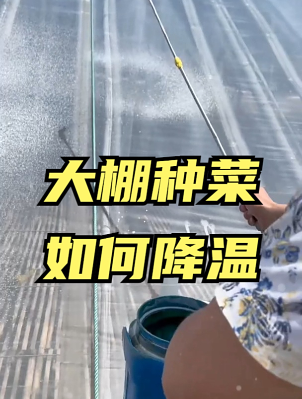 夏季大棚种菜如何降温?寿光人都用这个“高科技”,降温快又安全