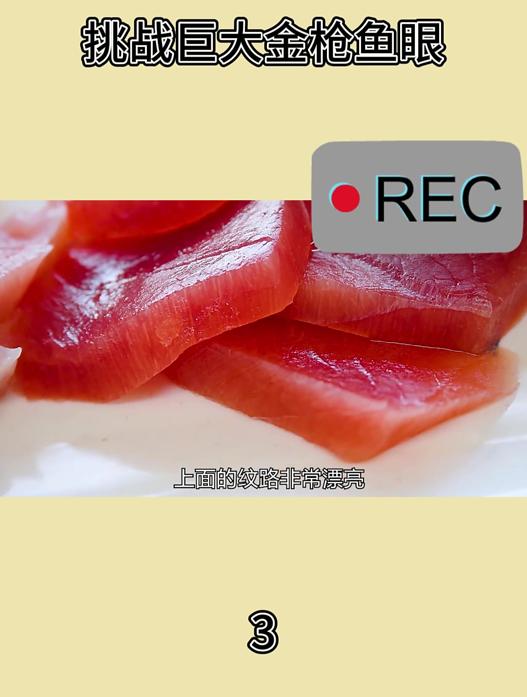 挑战巨大金枪鱼眼3