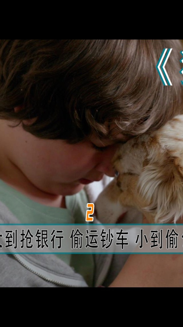 看似一条呆萌可爱的狗狗,却是一个强盗惯犯