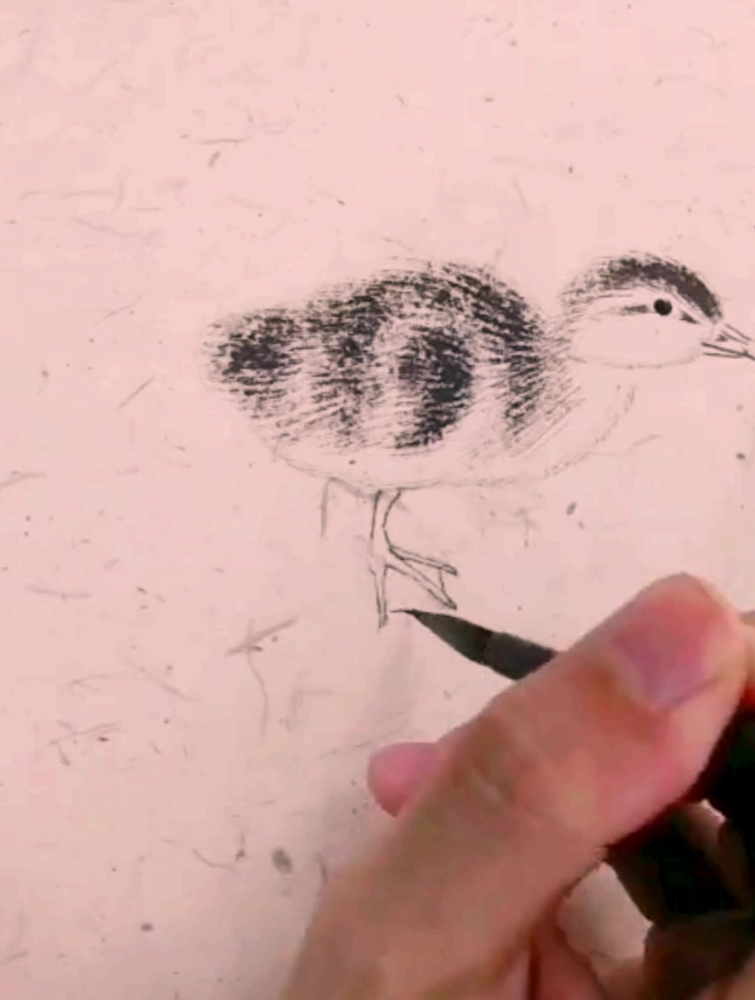 国画入门,工笔动物画,小鸭子画法