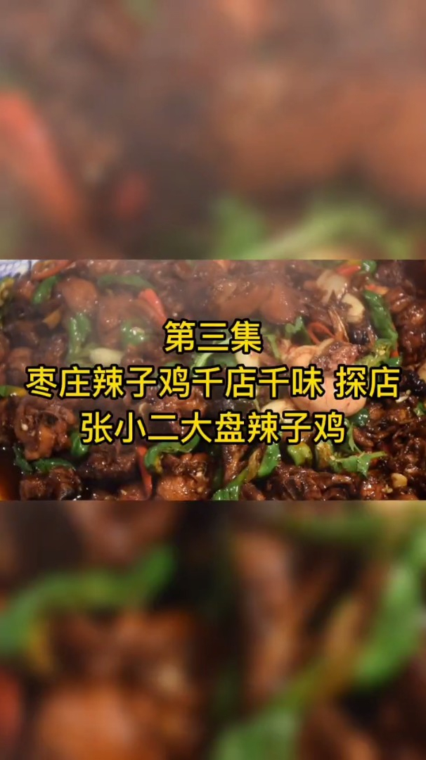 枣庄千店千味探店 张小二大盘鸡