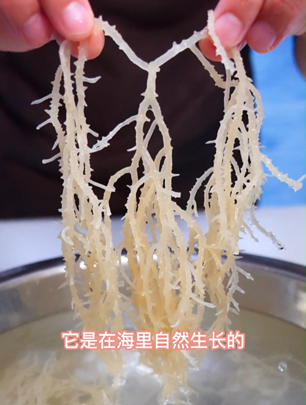 龙须菜是海里自然生长的藻类,营养丰富,凉拌清脆爽口,贼好吃