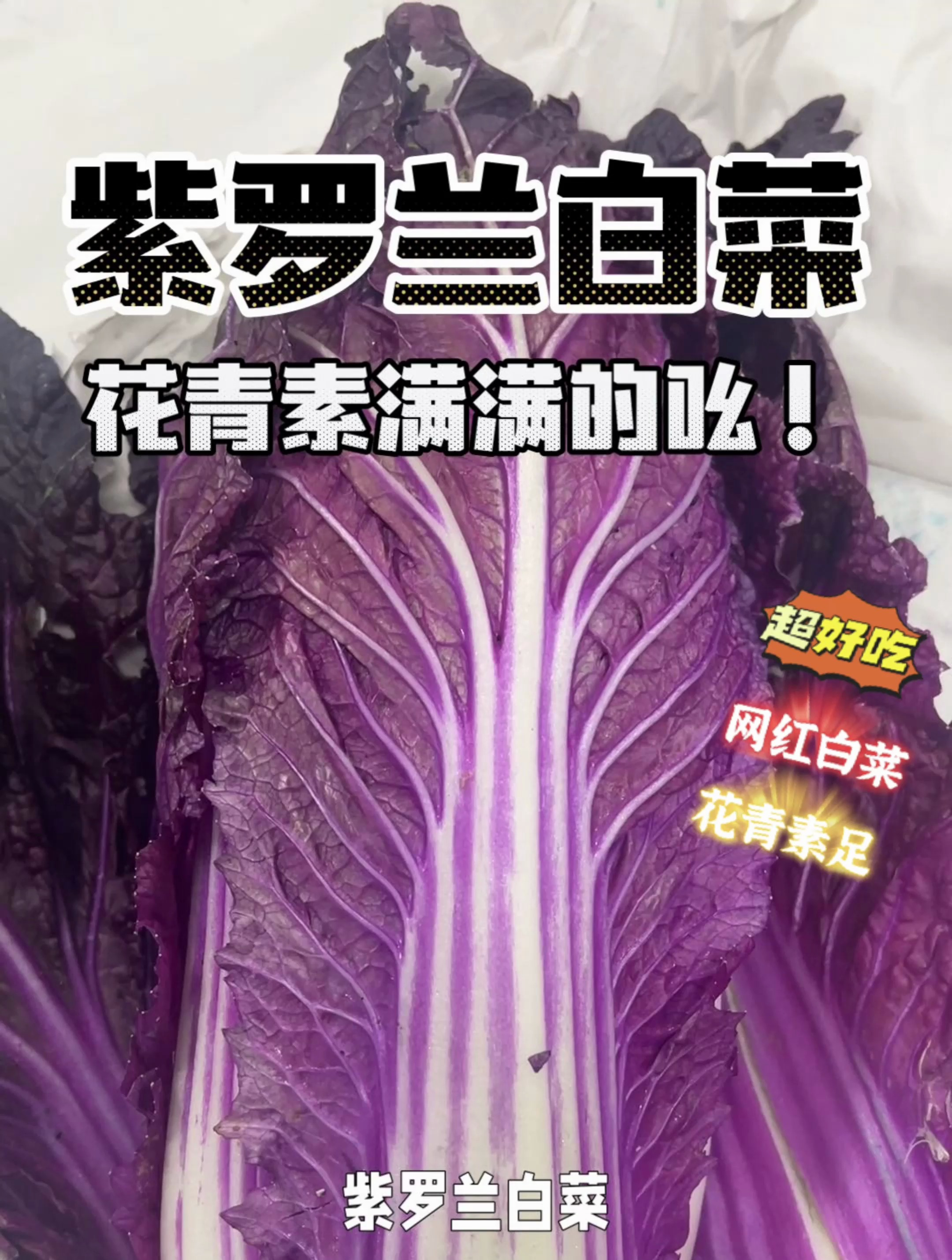 紫罗兰大白菜,花青素满满的,第一次见紫色白菜,涨知识啦