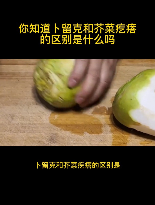 你知道卜留克和芥菜疙瘩的区别是什么吗