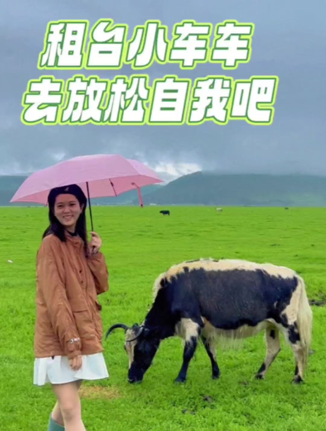 第一次开这种“剁椒鱼头车”,真的有被种草到