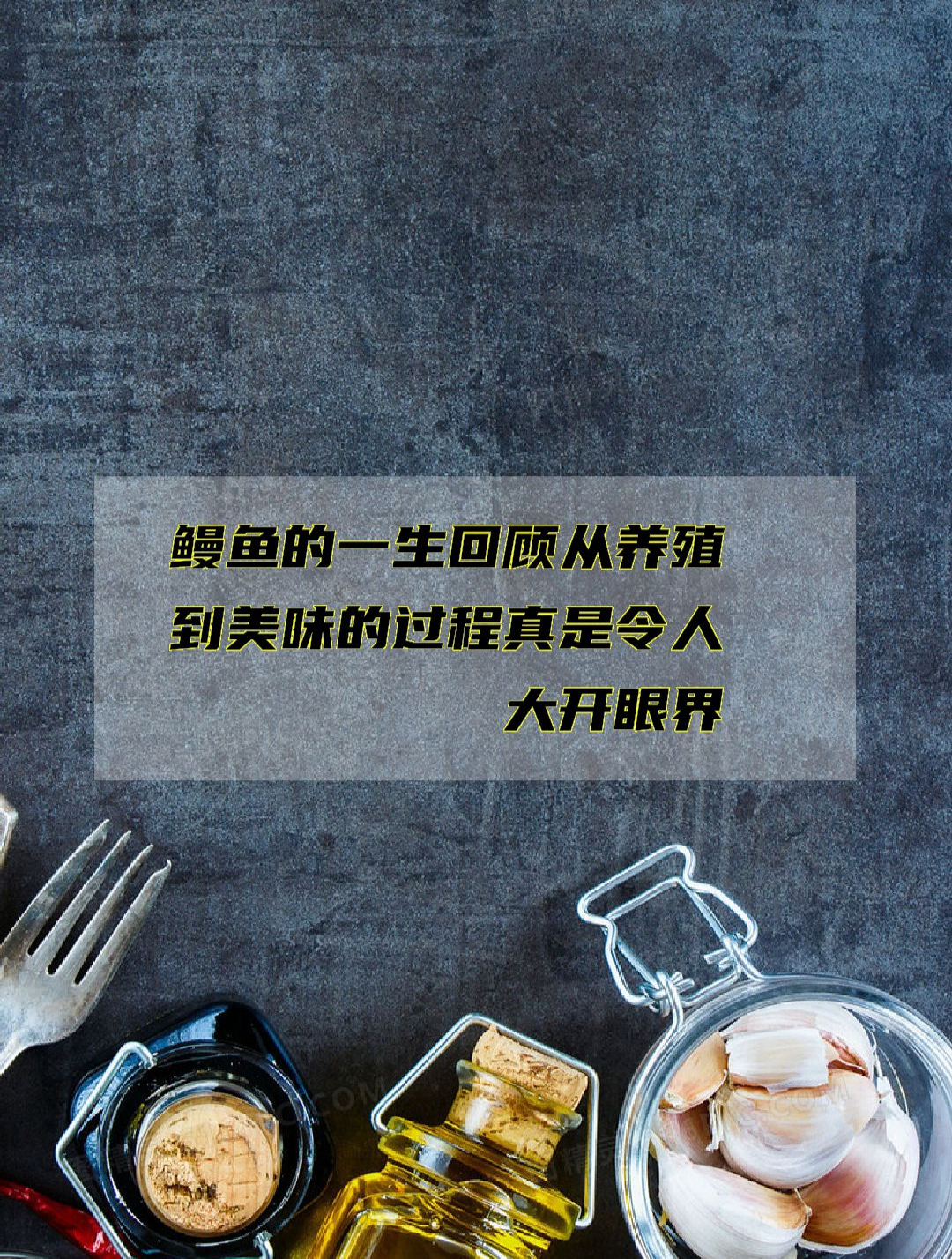 鳗鱼的一生回顾从养殖到美味的过程真是令人大开眼界