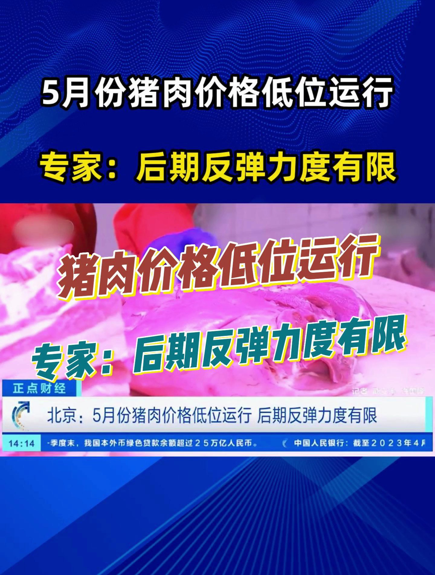 专家:5月份猪肉价格低位运行,后期反弹力度有限!
