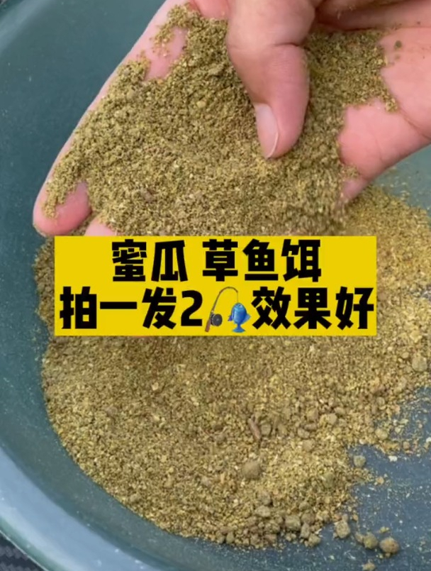 钓草鱼超好用的蜜瓜草鱼饵料