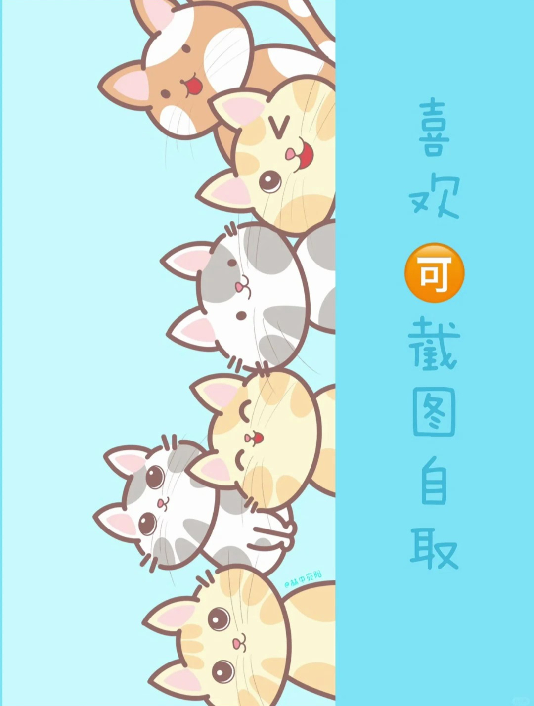 原创壁纸|猫咪的畅想