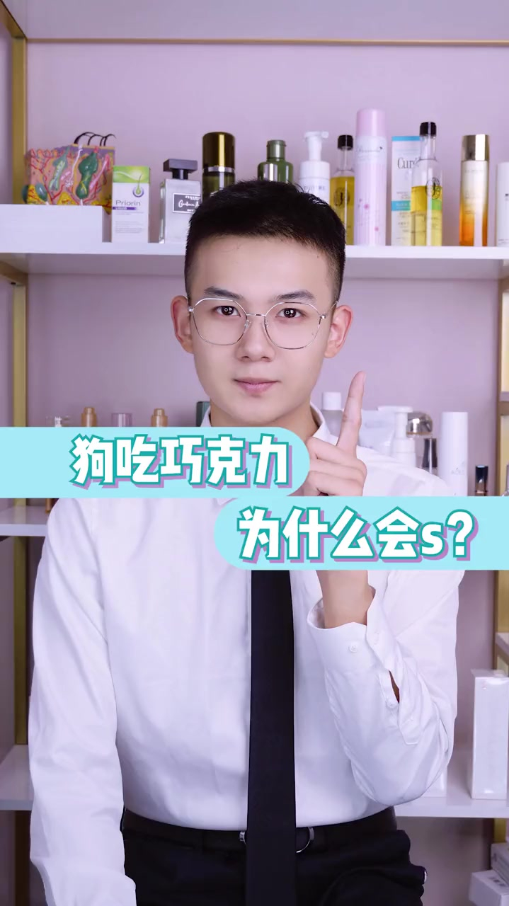 狗吃巧克力为什么会死?
