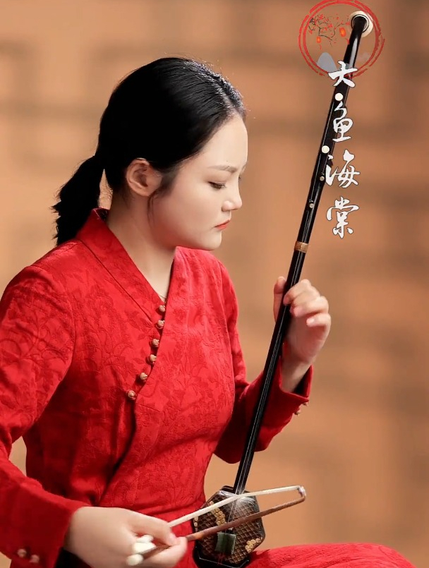 二胡演奏《大鱼海棠》,守护和坚持本心