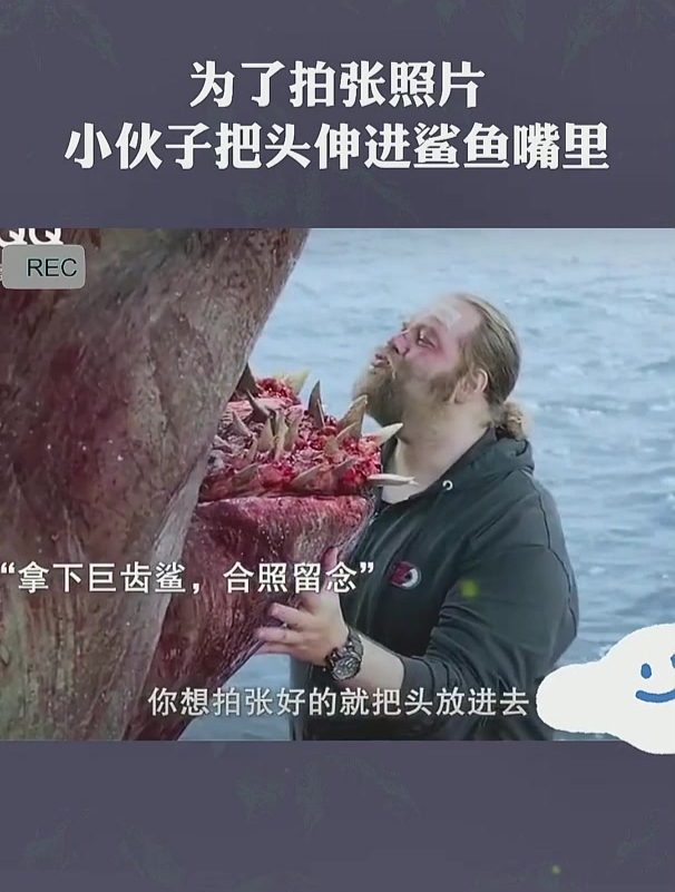为了拍张照片,小伙子把头伸进鲨鱼嘴里