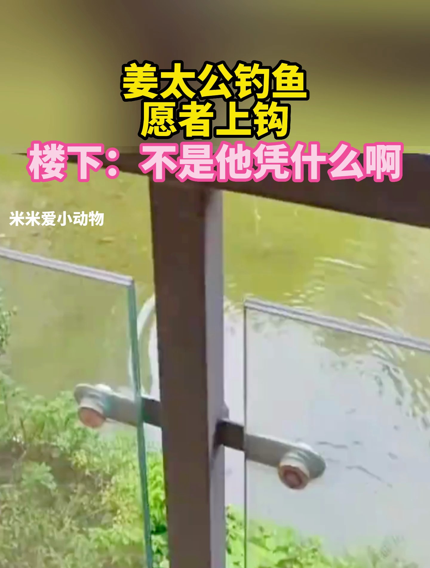 姜太公钓鱼,愿者上钩,楼下:不是他凭什么啊