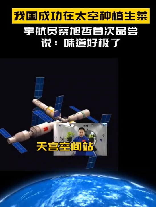 我国成功在太空种植蔬菜,而且味道不比陆地差