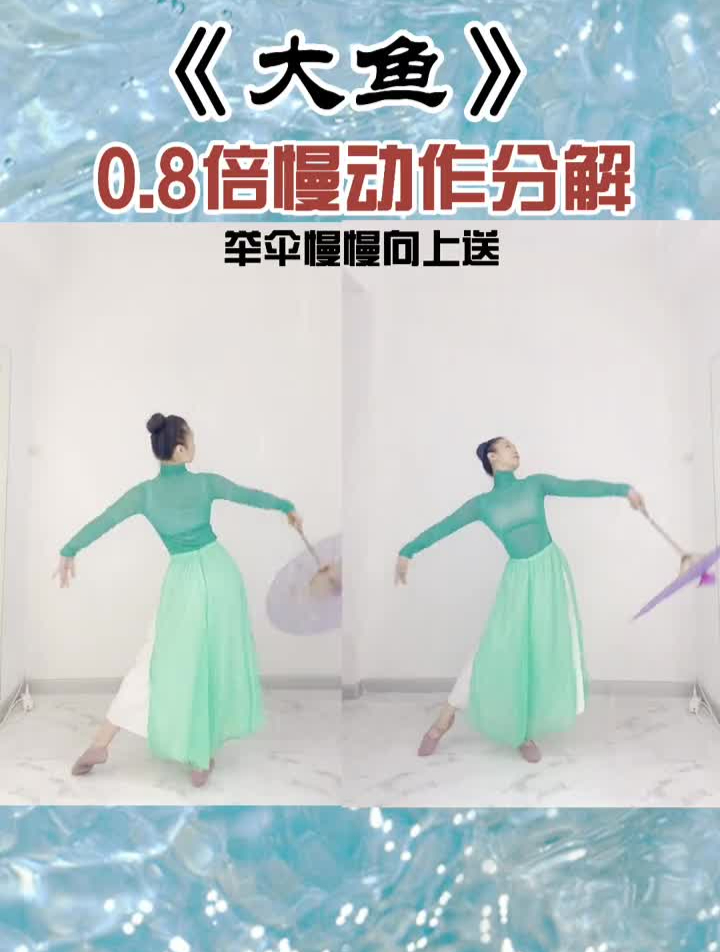 大鱼正面背面,慢动作分解