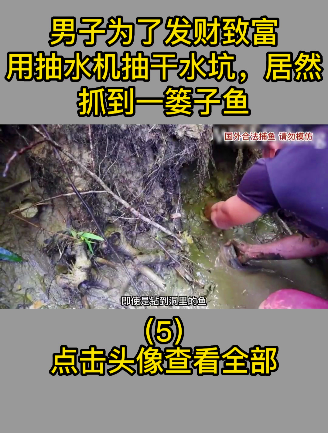 男子为了发财致富,用抽水机抽干水坑,居然抓到一篓子鱼5