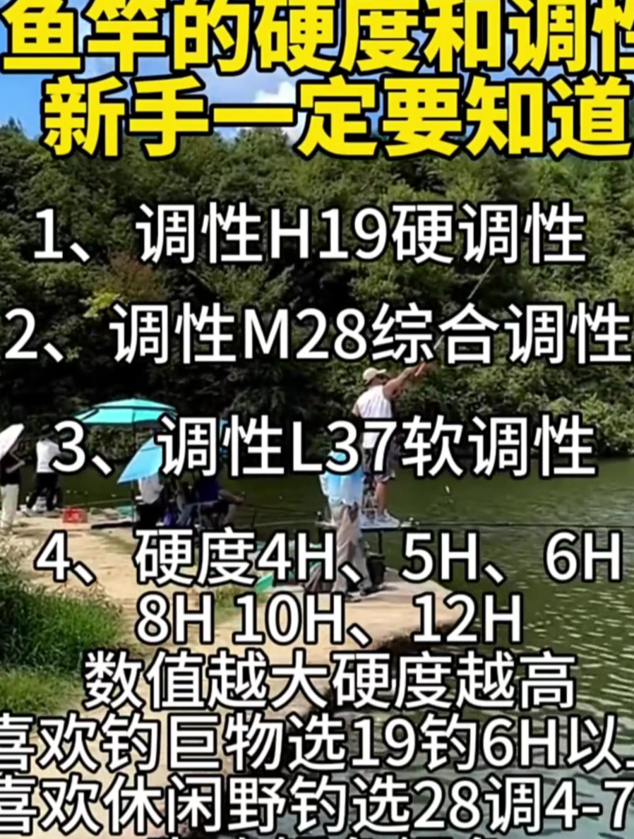 关于鱼竿的调行和硬度,新手钓友一定要知道,都是干货