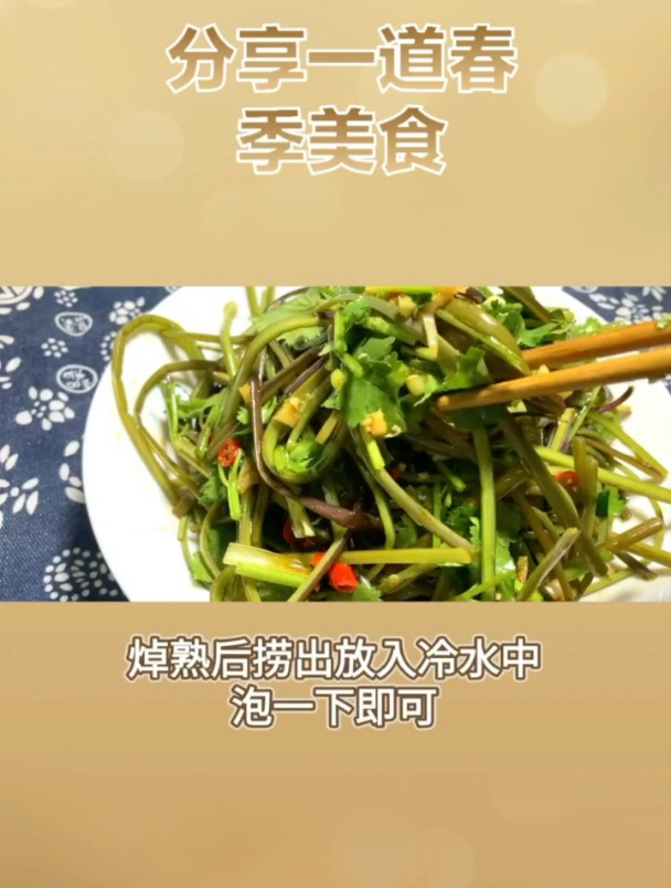 被称为“山菜之王”的野菜——蕨菜