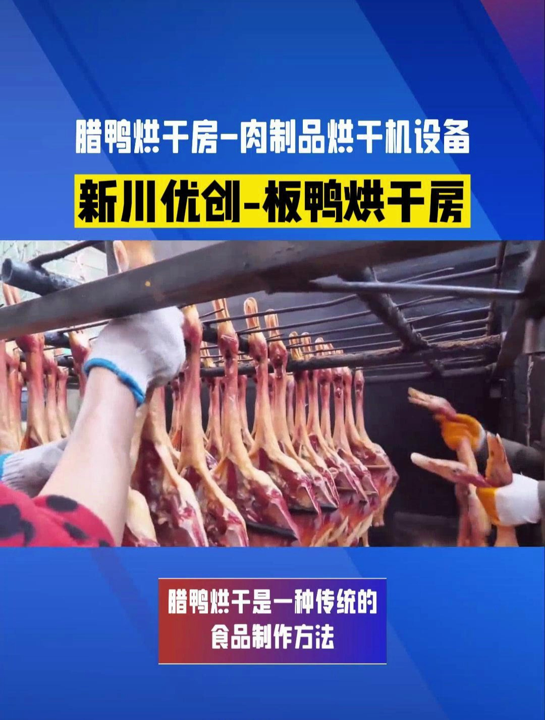 四川板鸭烘干房,新川优创板鸭肉制品烘干房,节能高效烘干
