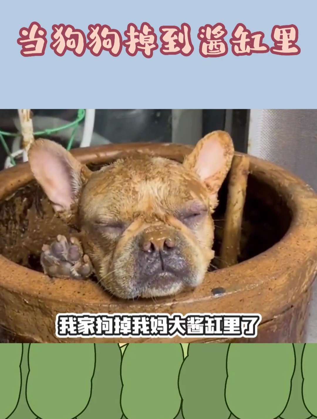 妈妈:你知道的,我从小没吃过酱狗肉