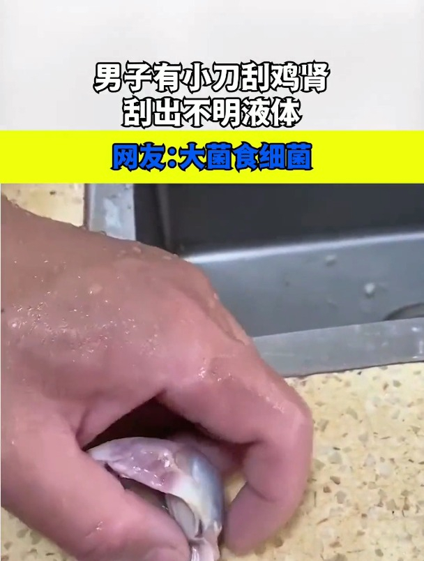 男子有小刀刮鸡肾,刮出不明液体。网友:大菌食细菌