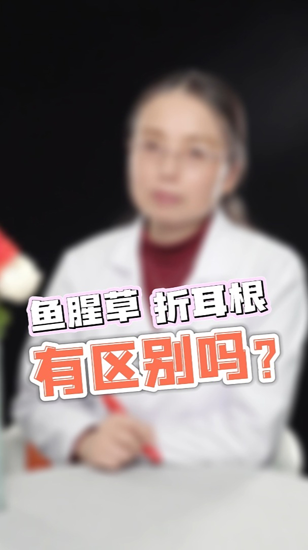 鱼腥草和折耳根有区别吗?