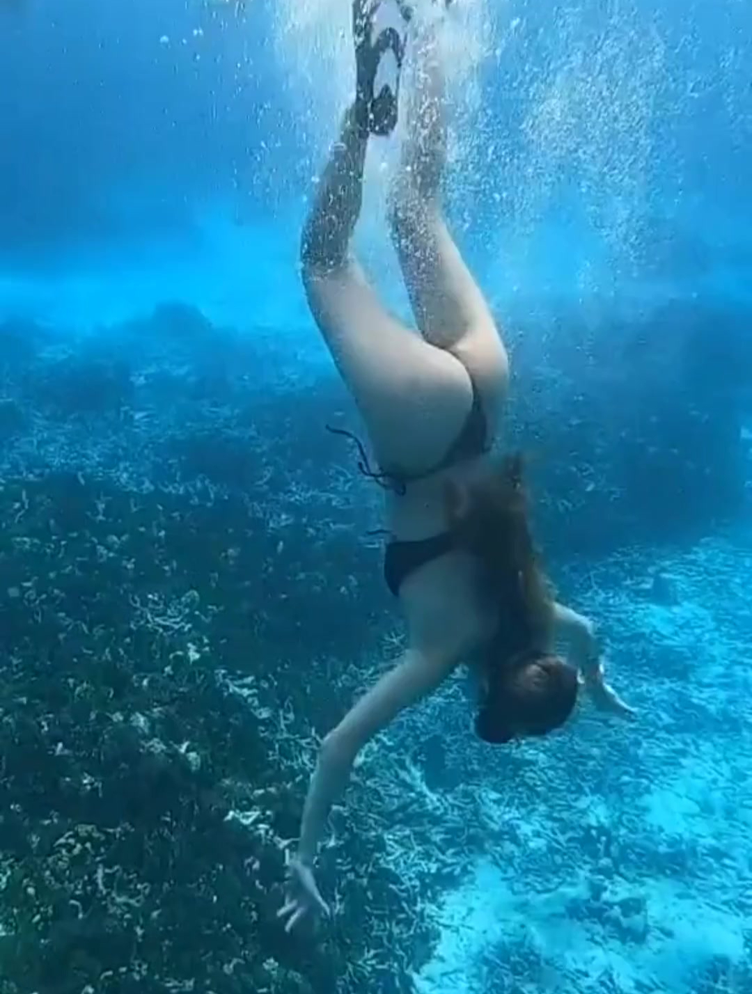 潜水一定要去喂鱼,泳衣美女和鱼儿在海底玩耍