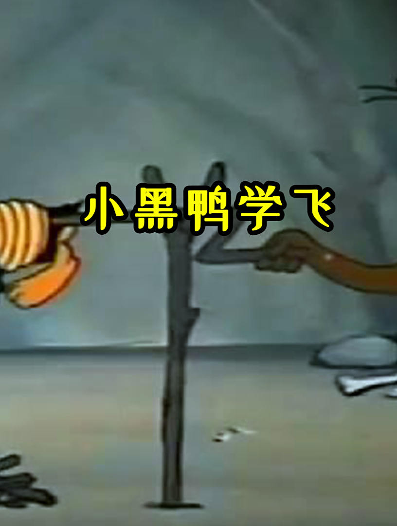搞笑动画小黑鸭学飞