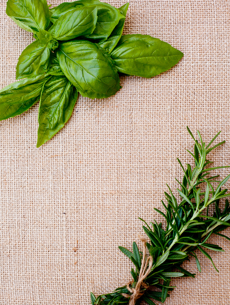 四君子T中植物(人参、白术、茯苓、甘草)