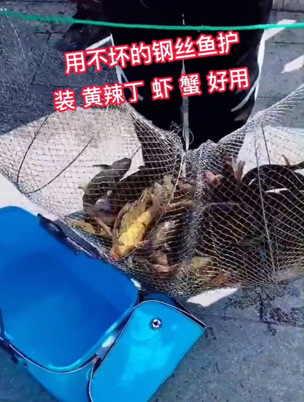 钢丝材质的鱼护,装黄辣丁,龙虾,螃蟹特别好用