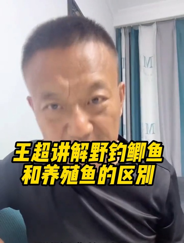 钓鲫鱼和养殖鱼的区别,这几个地方一看就知道了!
