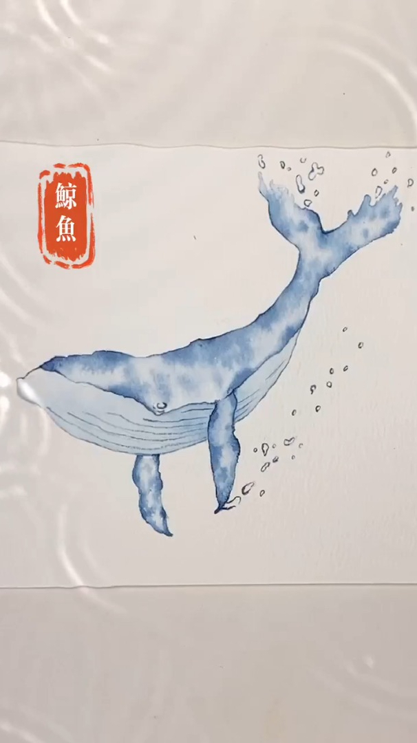 水彩过程分享,一条鲸鱼