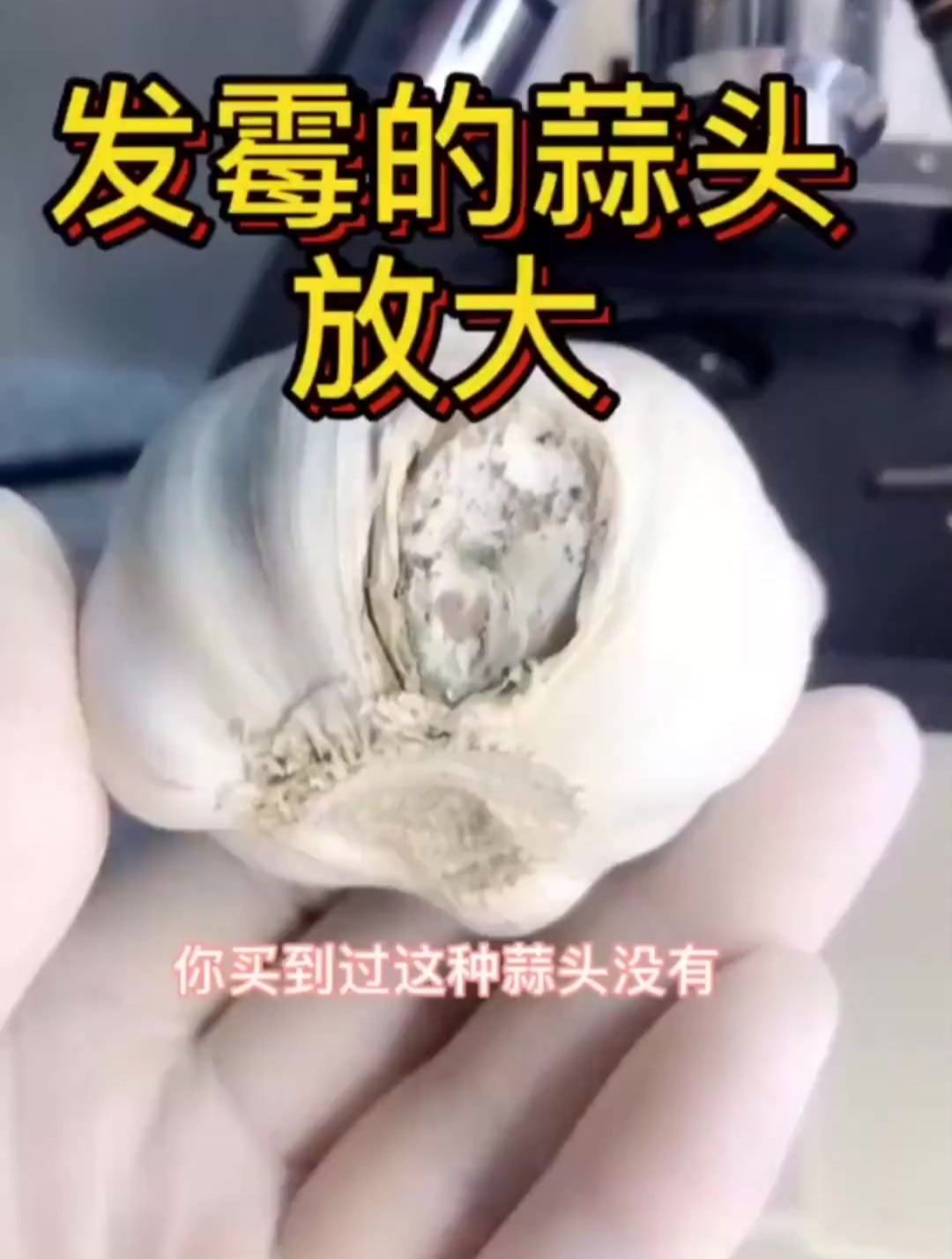 生的蒜头你敢吃吗,我是从来没吃过