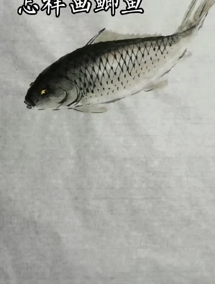 国风合伙人水墨鲫鱼国画鲫鱼写意鲫鱼写意花鸟