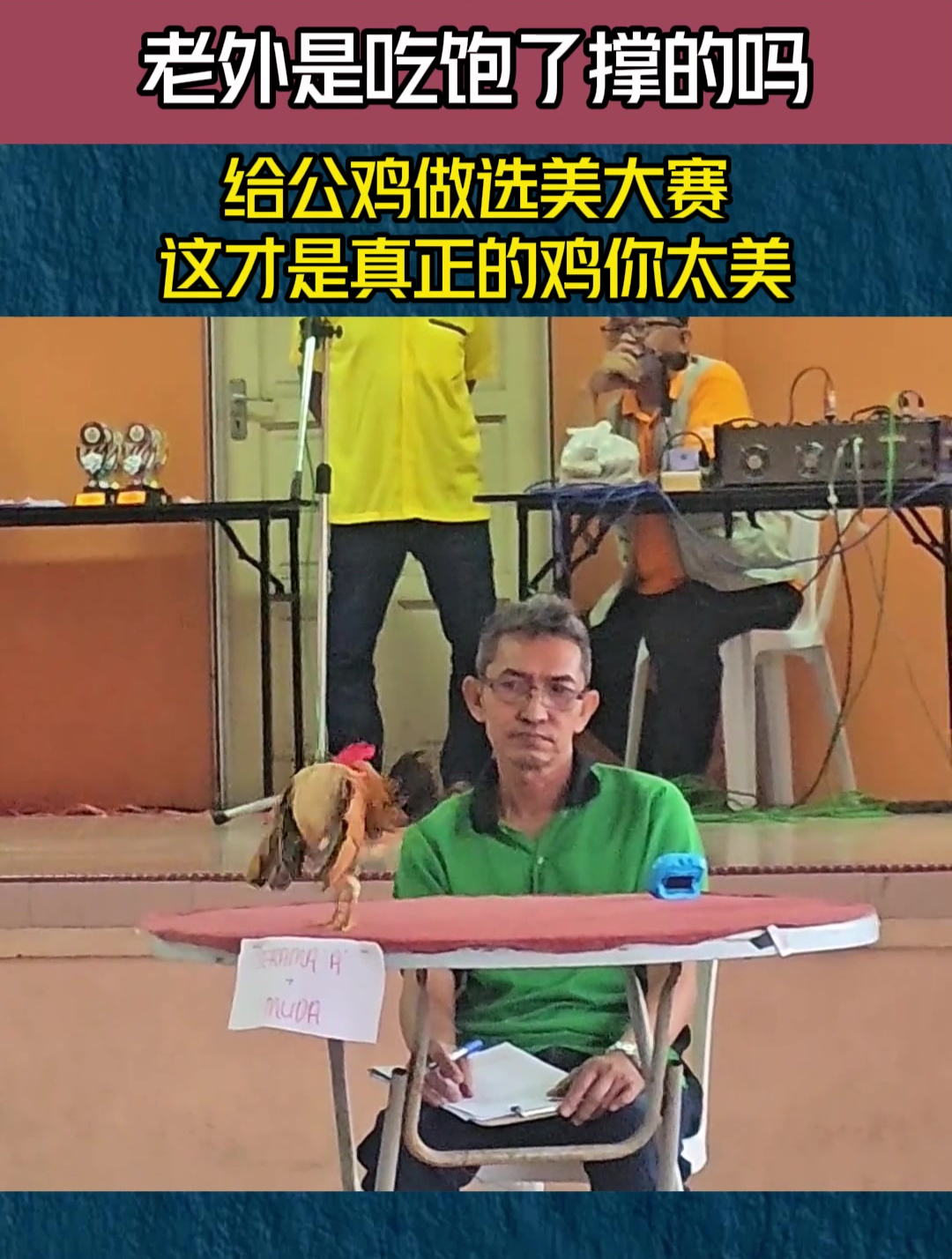 老外是吃饱了撑的吗,给公鸡做选美大赛,这才是真正的鸡你太美